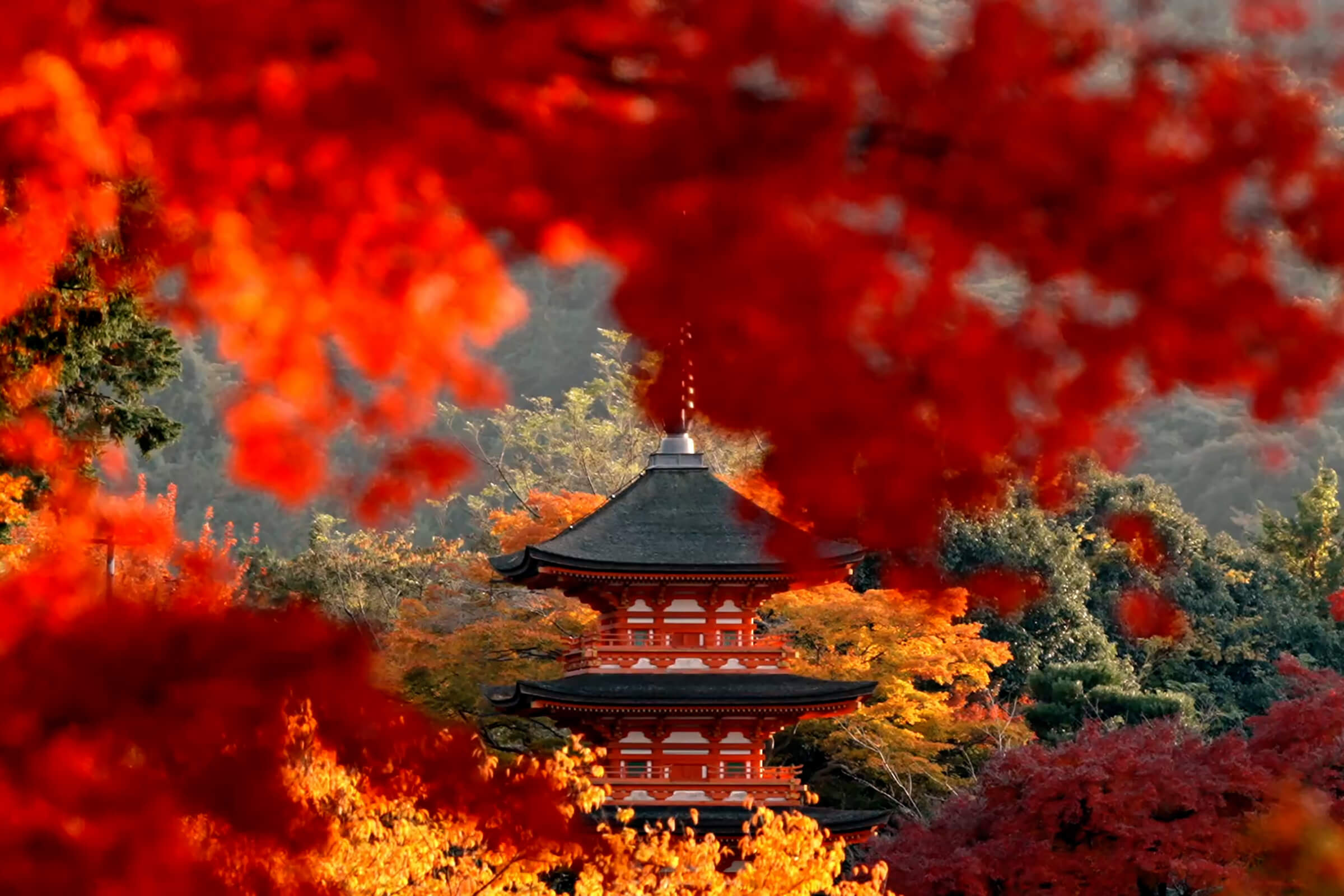 Ancient Japanese temple in Kyoto