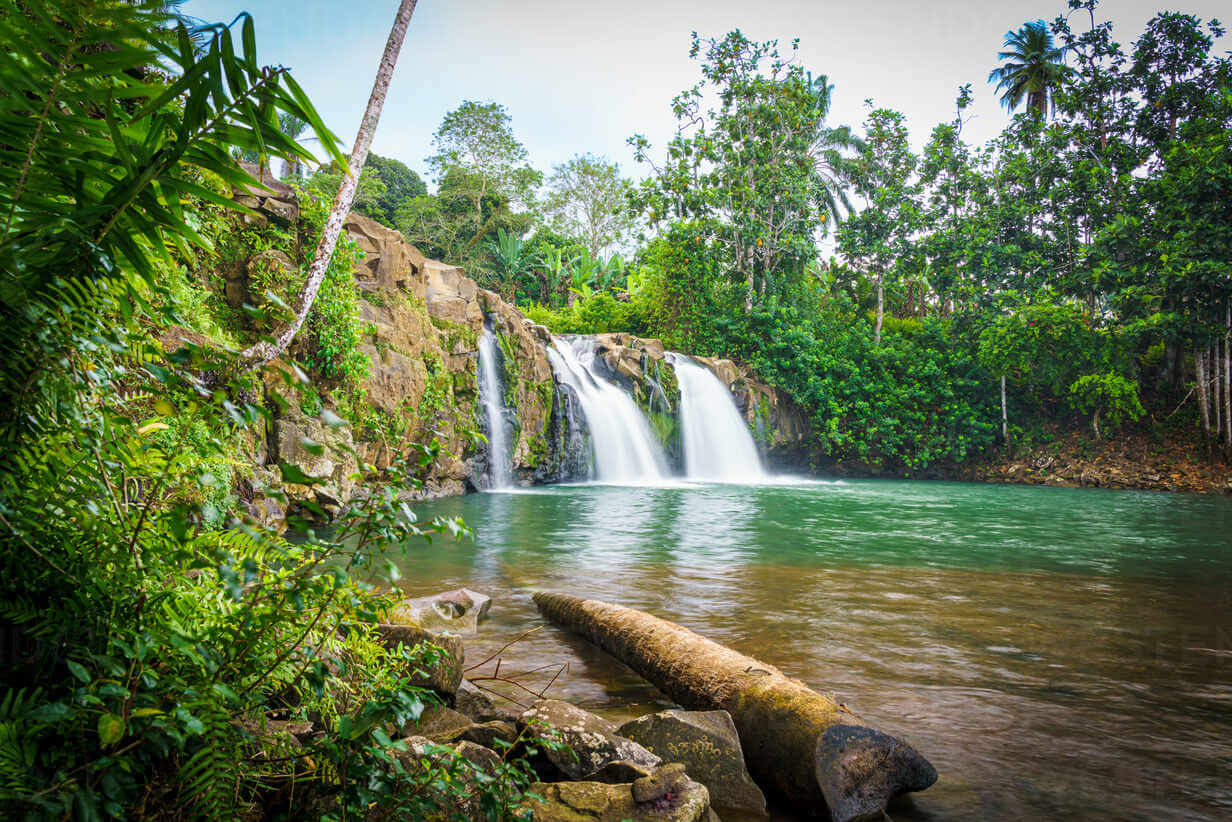 Lush green jungle with a waterfall