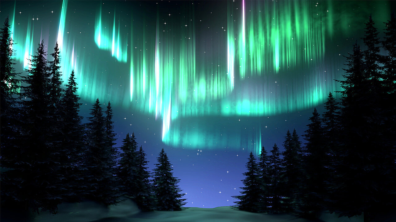 Aurora Borealis over a forest