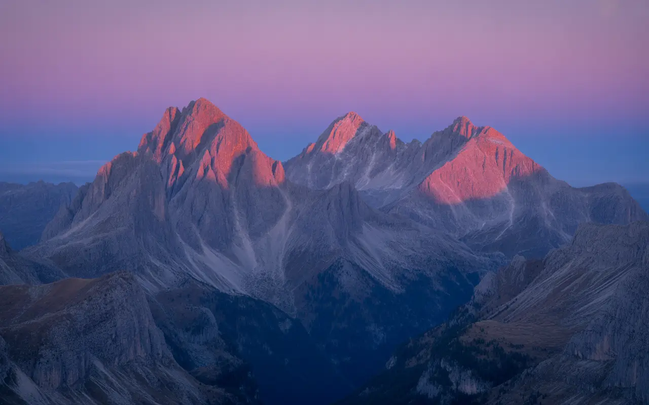 Avatar of Daniel Young